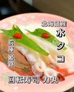 グルメ回転寿司なら兵庫県姫路・揖保郡太子・高砂・加古川・明石・神戸